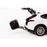 Cofre para bola de remolque TowBox V1