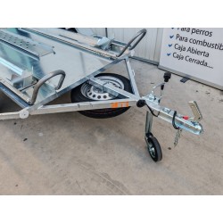 Remolque para dos motos