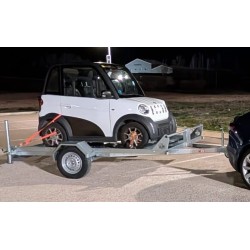 Alquiler de remolque portabuggys